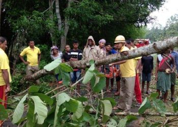 Fire services personnel trying to remove a huge tree which had been felled by Cyclone Fani