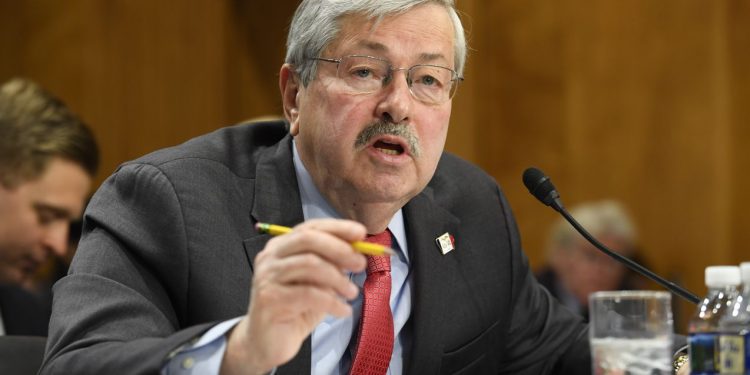 US Ambassador to China Terry Branstad