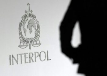 50 children saved after police bust paedophile website: Interpol