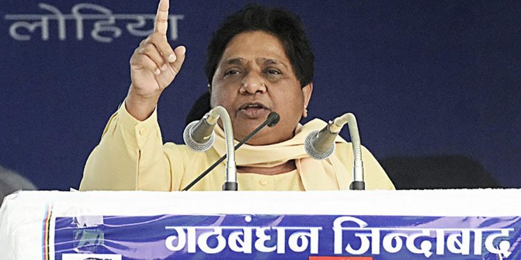 Mayawati appoints family members for key party posts