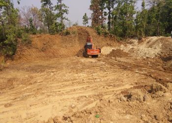 Illegal soil mining damages forest