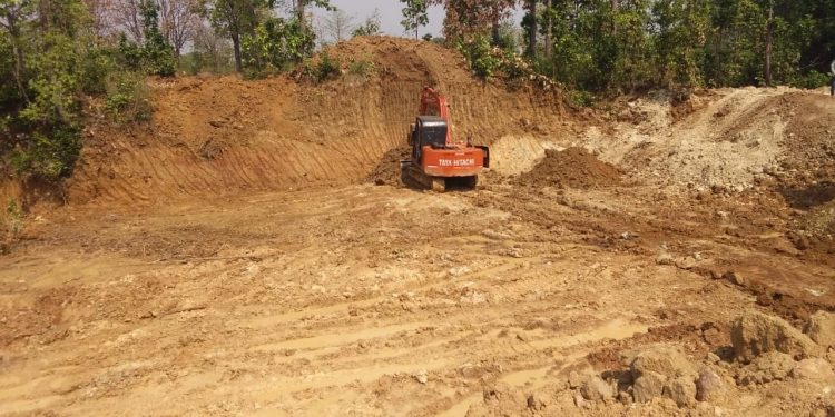 Illegal soil mining damages forest