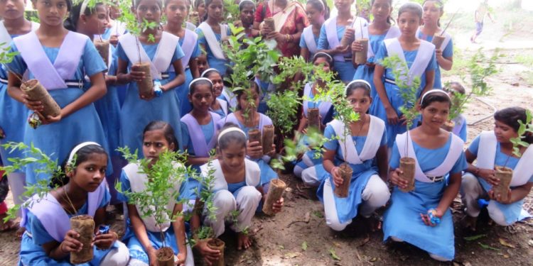 Mega plantation drive involving schoolchildren to be launched