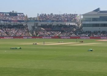 Chris Morris was bowling his ninth over and Suranga Lakmal was on strike when the bees descended upon the ground after the fifth ball was bowled.