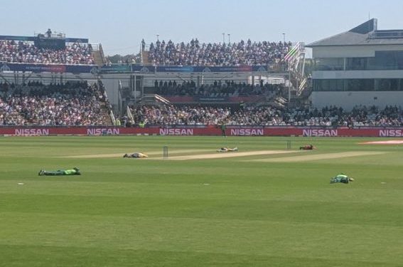 Chris Morris was bowling his ninth over and Suranga Lakmal was on strike when the bees descended upon the ground after the fifth ball was bowled.