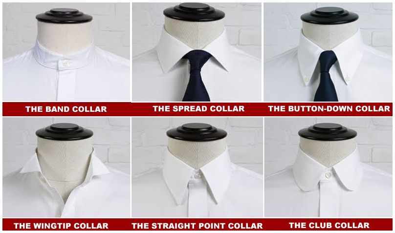 Collar guide to personality - OrissaPOST