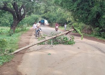 Truck gets entangled with electric wire