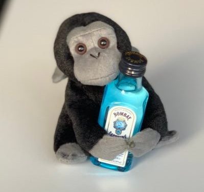Since Tuesday, the profile picture of the Tesla and SpaceX CEO has been showing a baby monkey holding a beautiful emerald blue coloured bottle of a famous brand of gin called Bombay Sapphire.