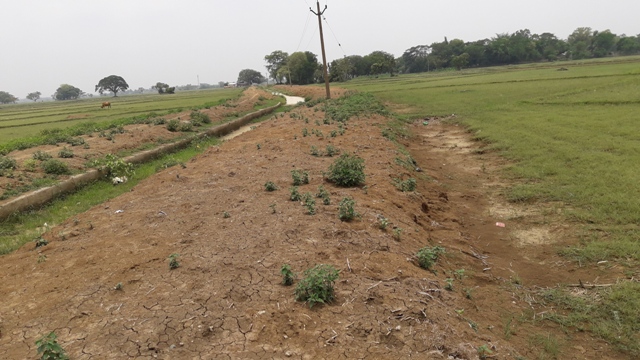 Illegal soil lifting raises hackles