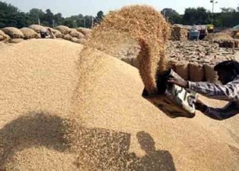 No action against defaulting rice millers