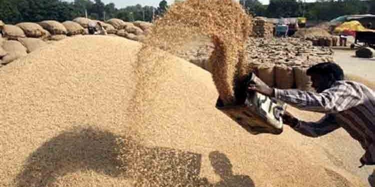 No action against defaulting rice millers