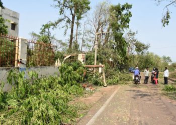 People preparing thair house & other activities After effect of cyclone FANI (63)