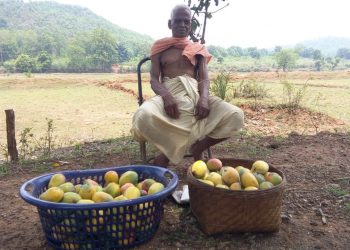Water shortage hits farming in Kandhamal