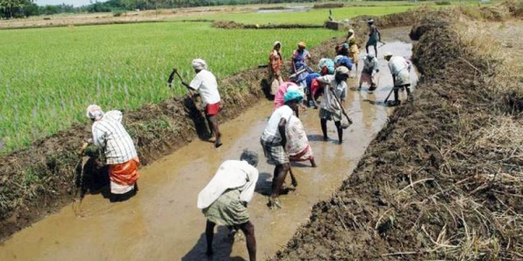 Villagers allege irregularities in MGNREGS works