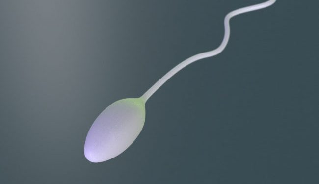 The research opens the possibility of safely transporting male gametes to space and creating a human sperm bank outside Earth.