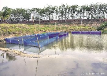 Lack of infrastructure affects fish cultivation