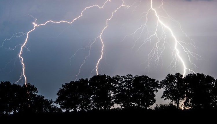 Thunderbolts claim six lives in state
