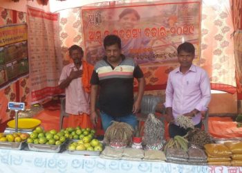 ‘Mango & Minor Crop Market’ opens in Daringibadi