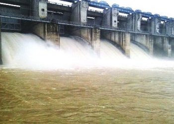 Conserving Mahanadi water synonymous with state’s growth