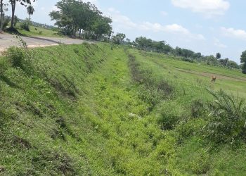 Farmers await canal water to start agri activities