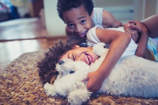 Interaction with dogs, cats can improve students’ mood