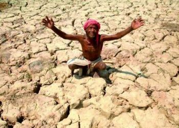 As rains play hide & seek, Ganjam farmers frown