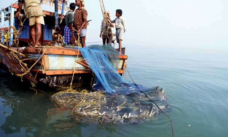 IMD warning hits Gopalpur fishermen - OrissaPOST