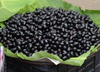 JAMUN