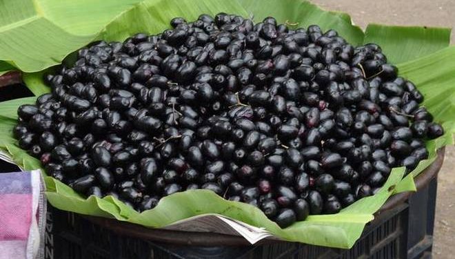 JAMUN