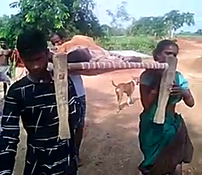 Ailing woman carried on cot in Keonjhar