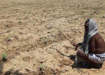 Drought spectre stalks Rayagada district