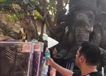 Khan uploaded a video on Instagram in which he was seen offering water in plastic bottle to a monkey, whom he addressed as his ‘Bajrangi Bhaijaan.