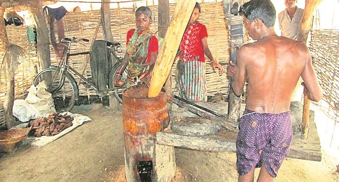 Villagers press for govt attention to 'ghanis'