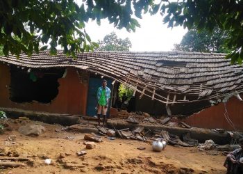 Villagers lose sleep over jumbo menace