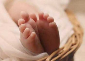 Newborn’s body found in Angul