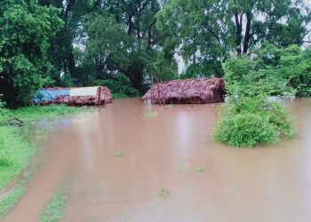 Rain damage in Malkangiri put at Rs 13cr