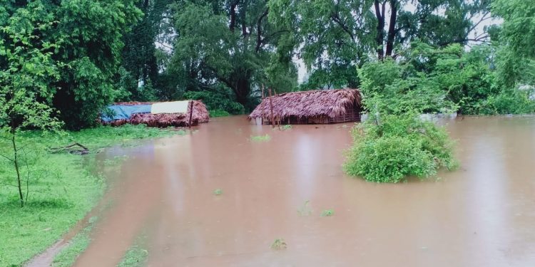 Rain damage in Malkangiri put at Rs 13cr