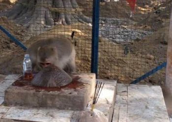 Temple where alcohol is offered as ‘prasad’