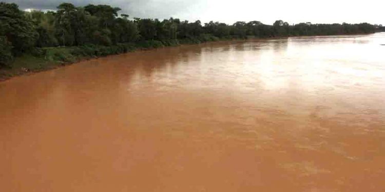 Baitarani swelling at Bhandaripokhari