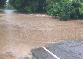 Malkangiri hit by floods, schools closed for 2 days