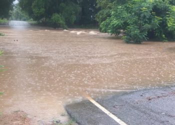 Malkangiri hit by floods, schools closed for 2 days