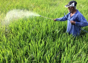 Farmer dies ‘while’ spraying pesticides