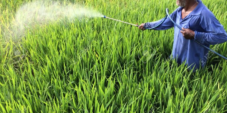 Farmer dies ‘while’ spraying pesticides