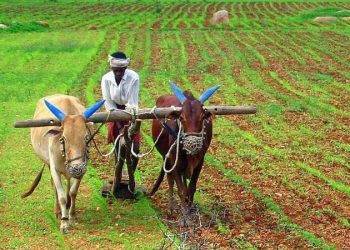 Odisha, Naveen Patnaik, KALIA scheme, Farmer,