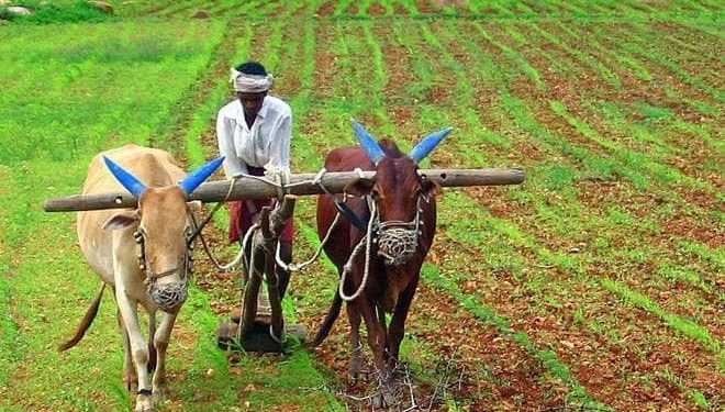 Odisha, Naveen Patnaik, KALIA scheme, Farmer,