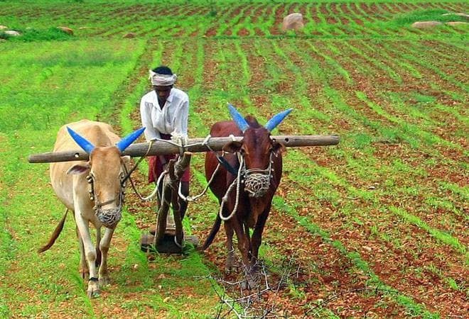 Odisha, Naveen Patnaik, KALIA scheme, Farmer,