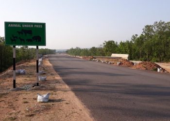 ‘More’ underpasses on NH-20 might have saved 3 elephants