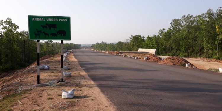 ‘More’ underpasses on NH-20 might have saved 3 elephants