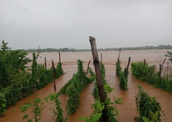 Floodwaters in Rayagada