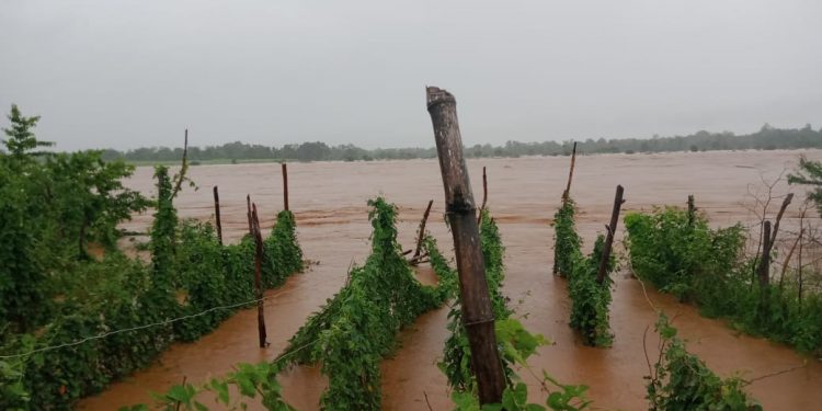 Floodwaters in Rayagada